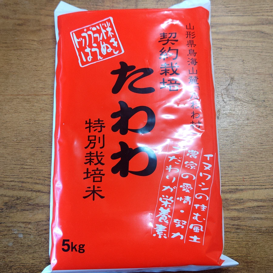 たわわ