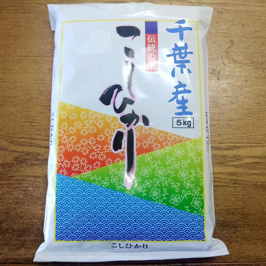 千葉産こしひかり